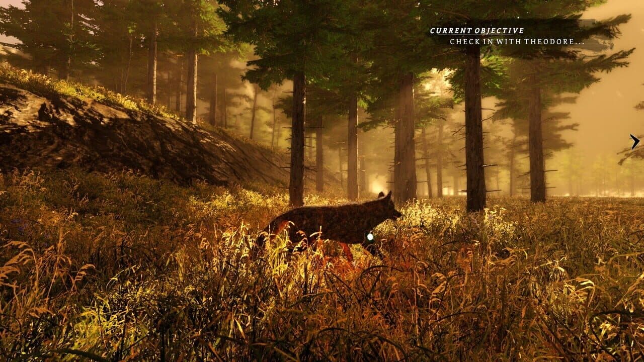 Tale of a Wolf screenshot 1