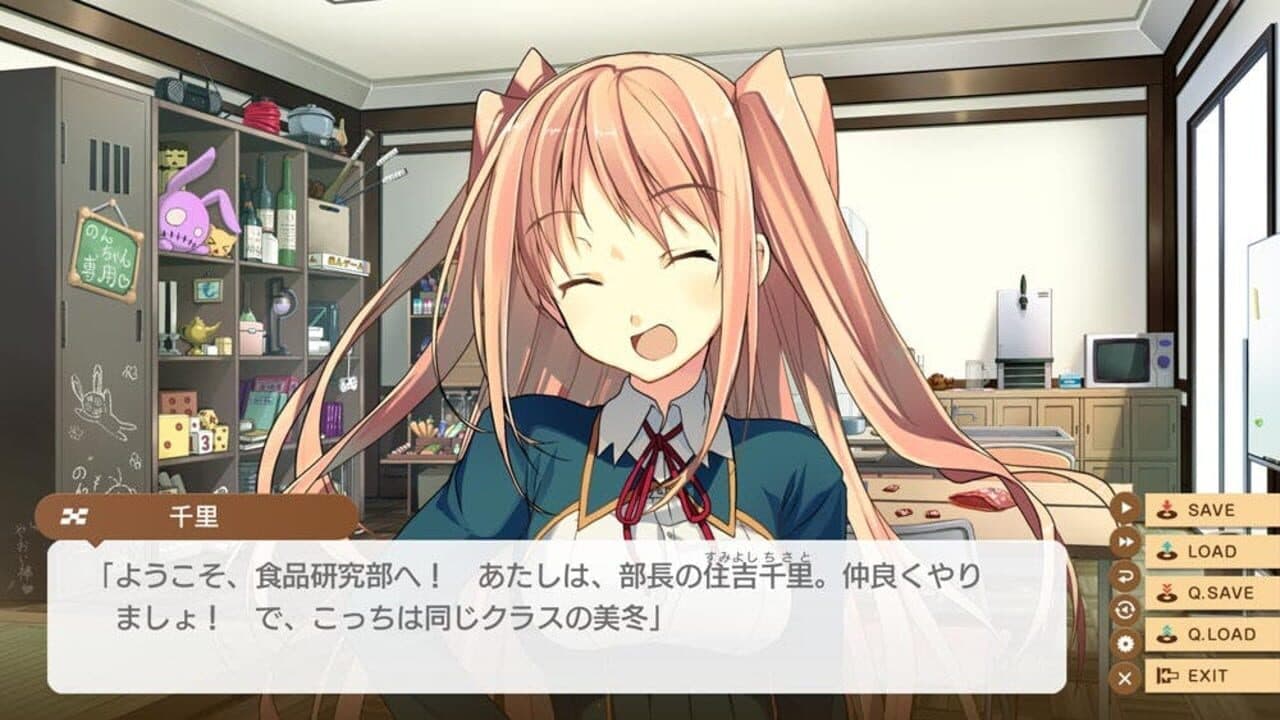 Love, Elections and Chocolate screenshot 1