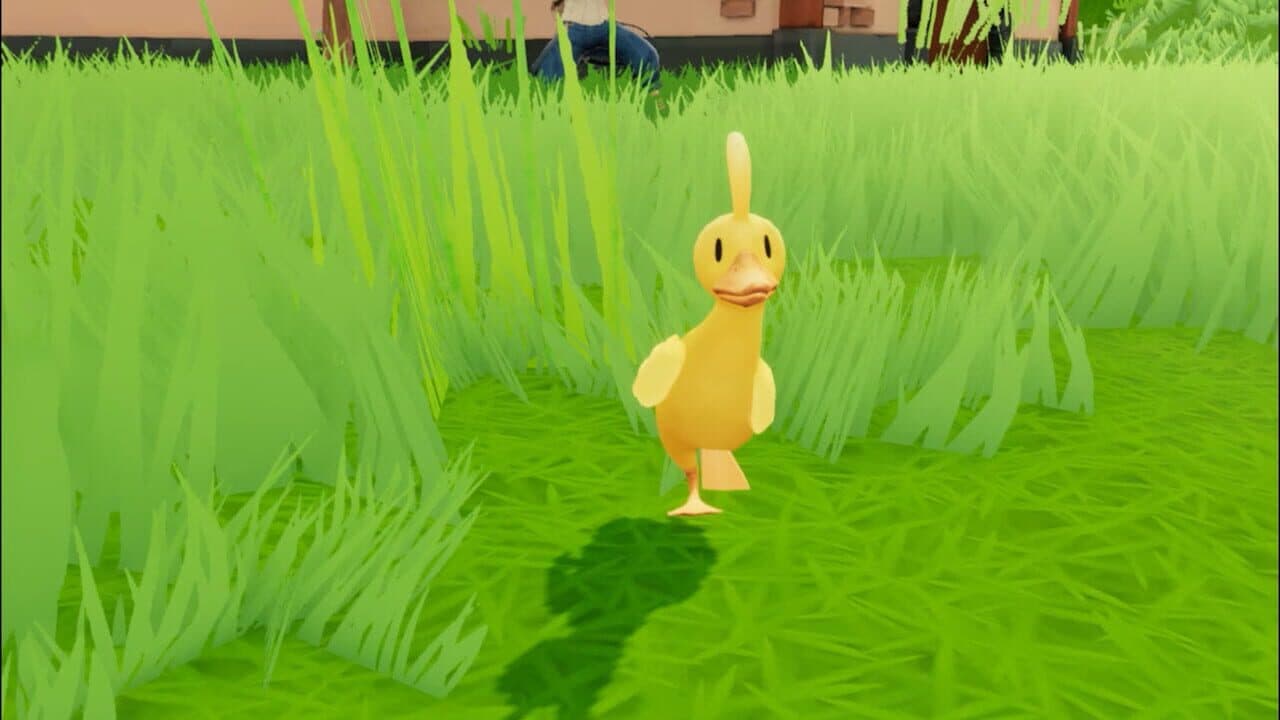 What the Duck thumbnail 3