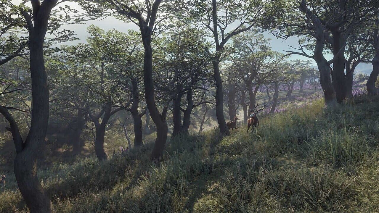 TheHunter: Call of the Wild - 2021 Edition thumbnail 3