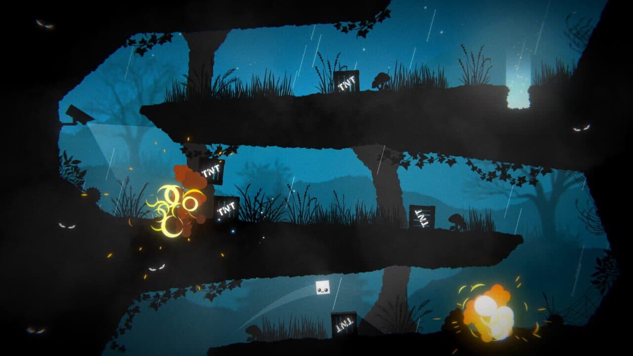 Birthday of Midnight thumbnail 5
