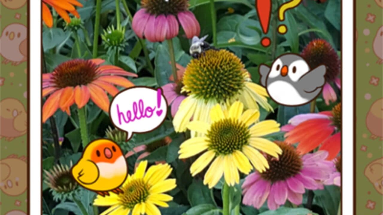 Tiny Bird Garden thumbnail 6