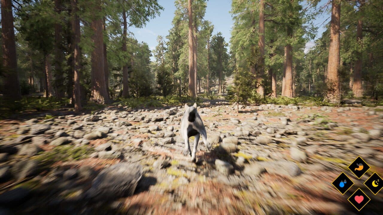 Wilderness thumbnail 4