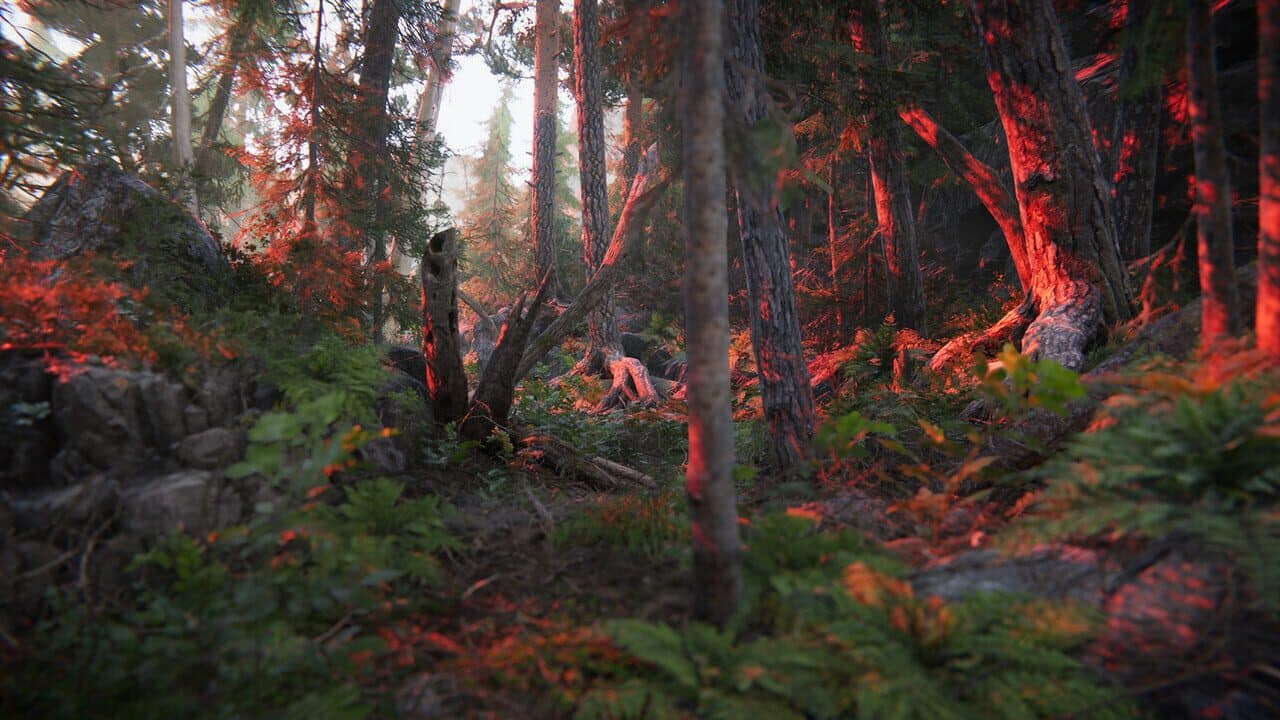 The Forest Cathedral screenshot 1