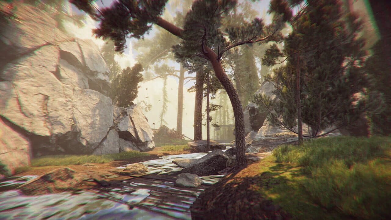 The Forest Cathedral thumbnail 3