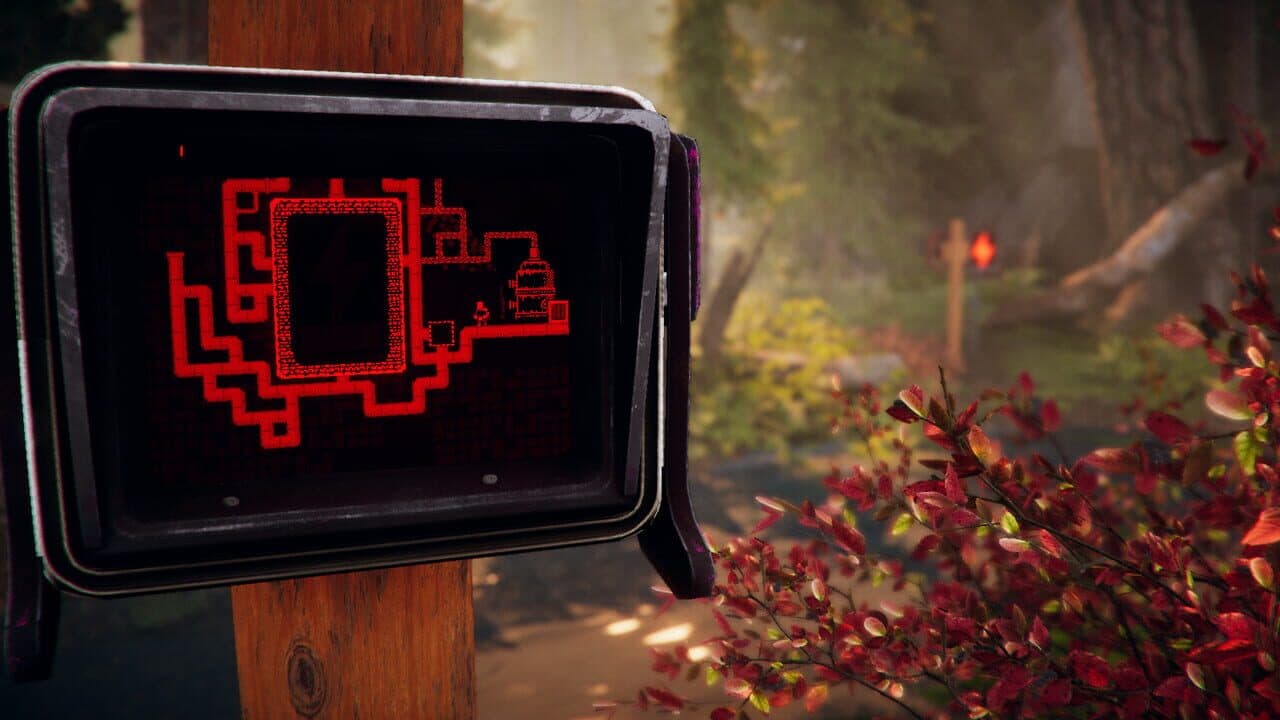 The Forest Cathedral thumbnail 6