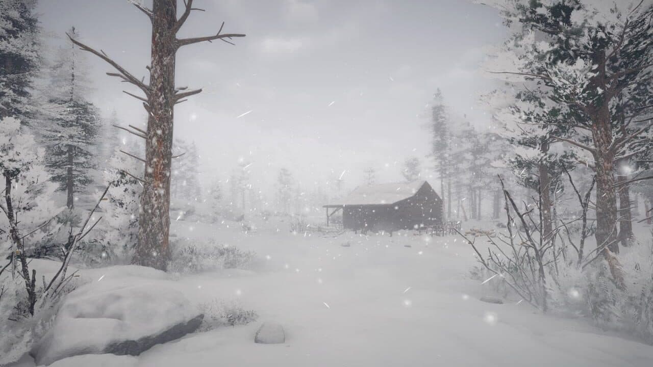 Northern Lights screenshot 1