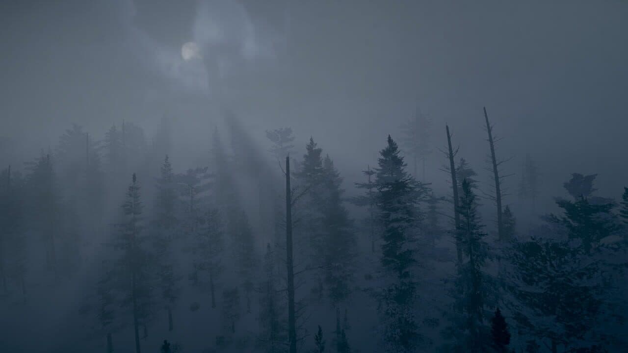 Northern Lights thumbnail 3