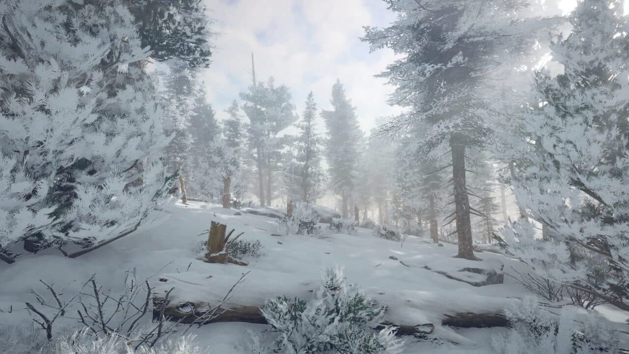 Northern Lights thumbnail 4