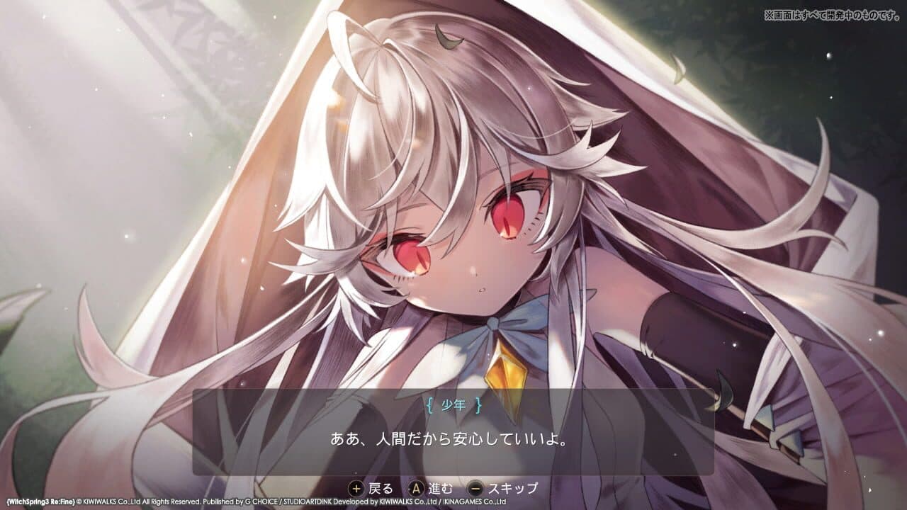WitchSpring3 Re:Fine - The Story of Eirudy thumbnail 2