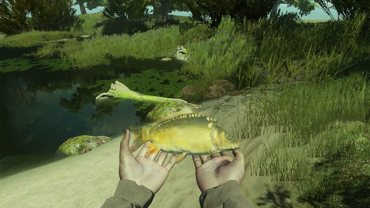 Professional Fishing thumbnail 3