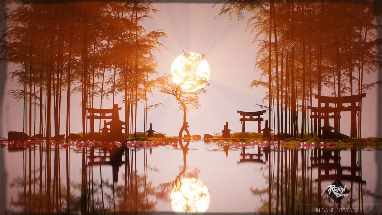 Ronin: Two Souls thumbnail 2