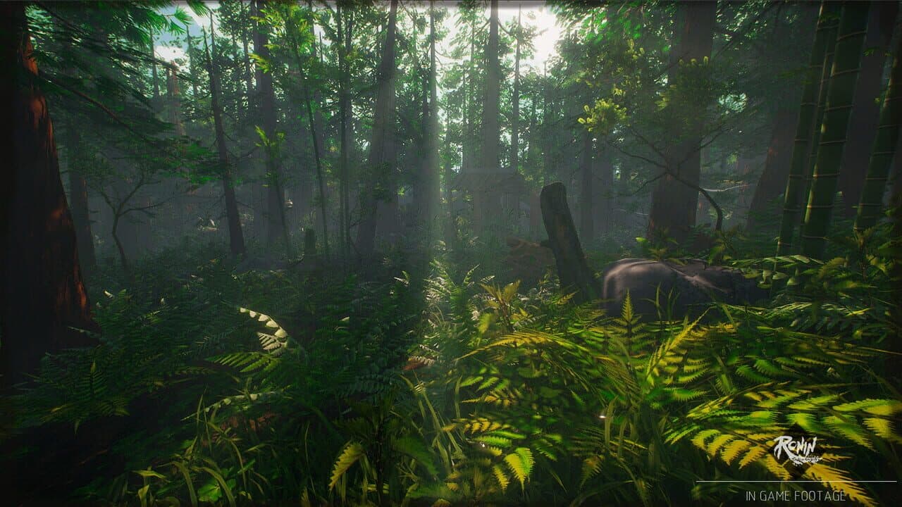 Ronin: Two Souls screenshot 1