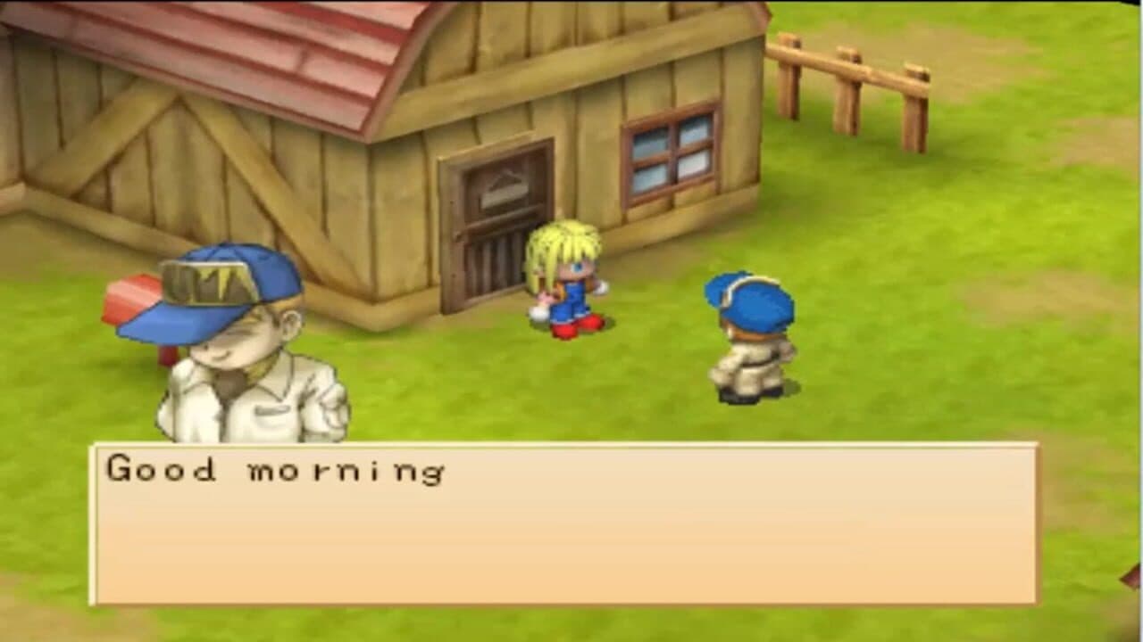 Harvest Moon: Boy & Girl thumbnail 2