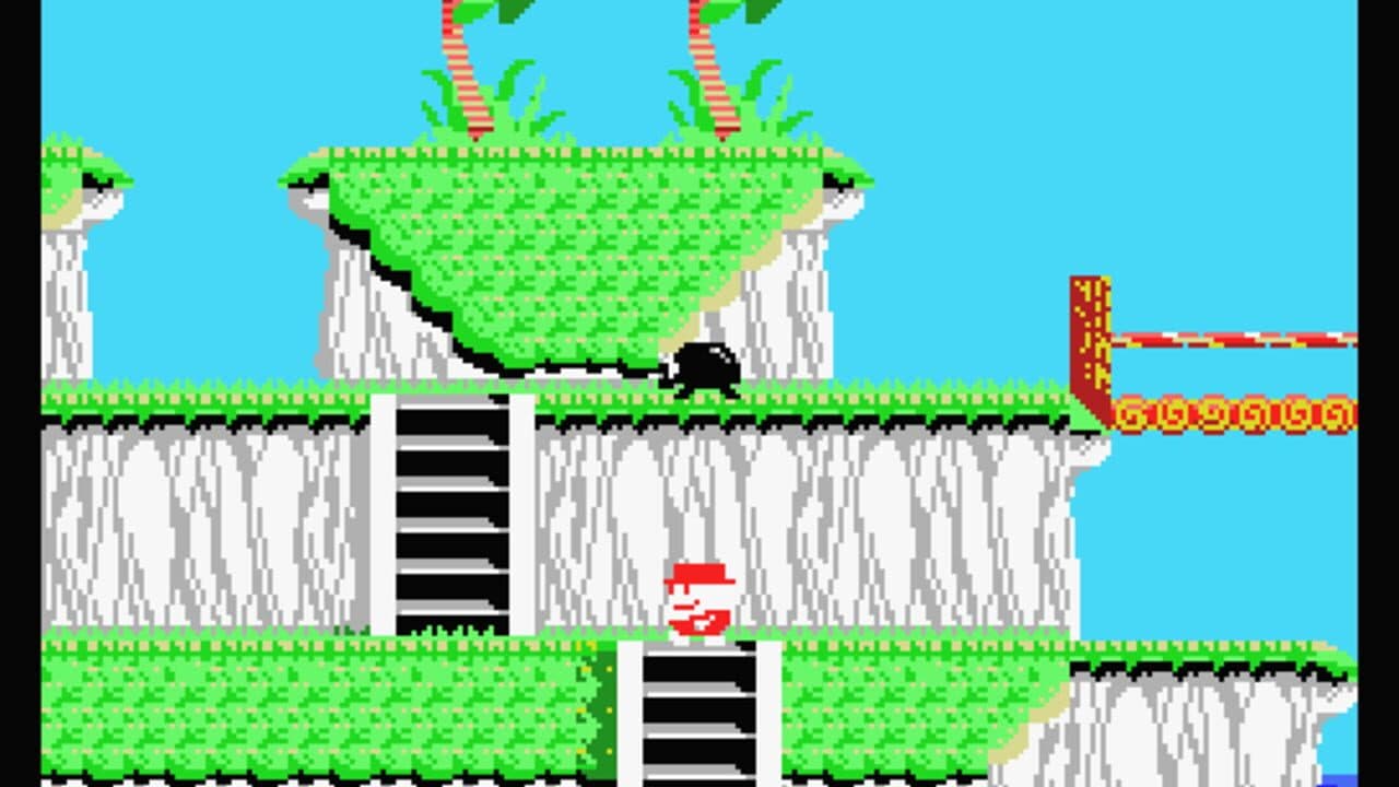Ananas thumbnail 2
