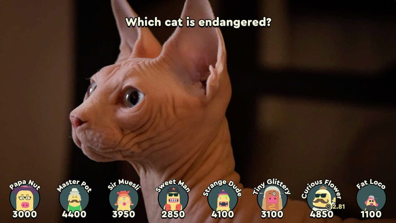 Papa's Quiz thumbnail 3