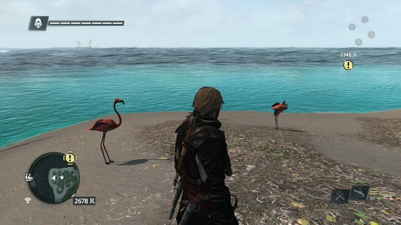 Assassin's Creed IV: Black Flag - Buccaneer Edition thumbnail 3