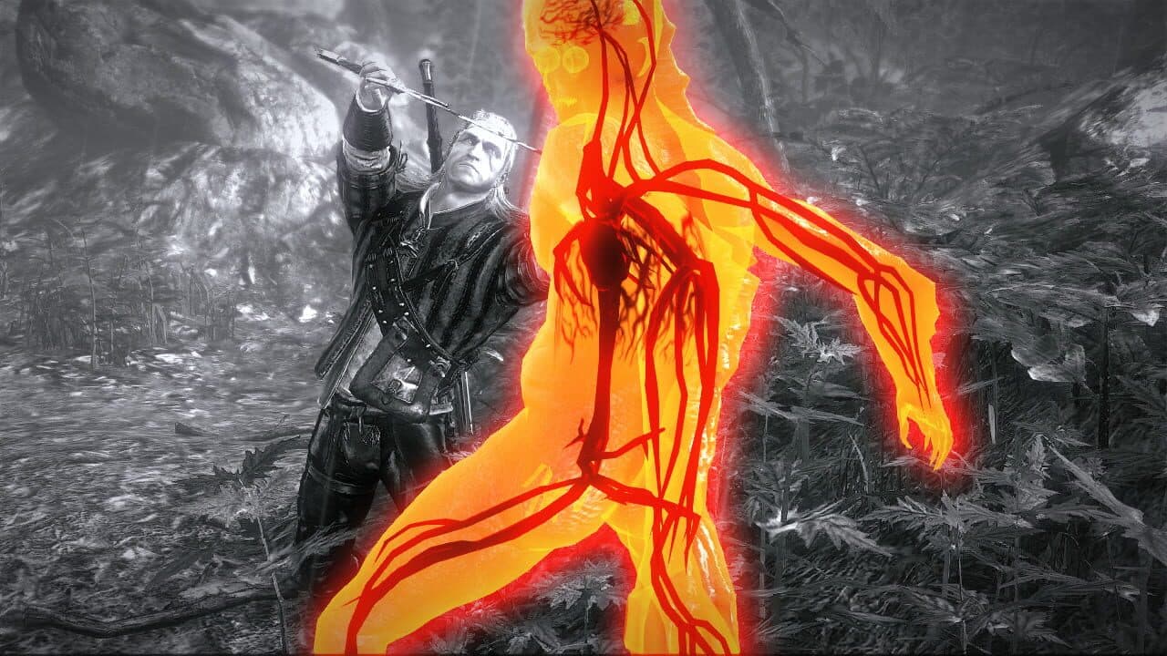 The Witcher 2: Assassins of Kings - Premium Edition thumbnail 2