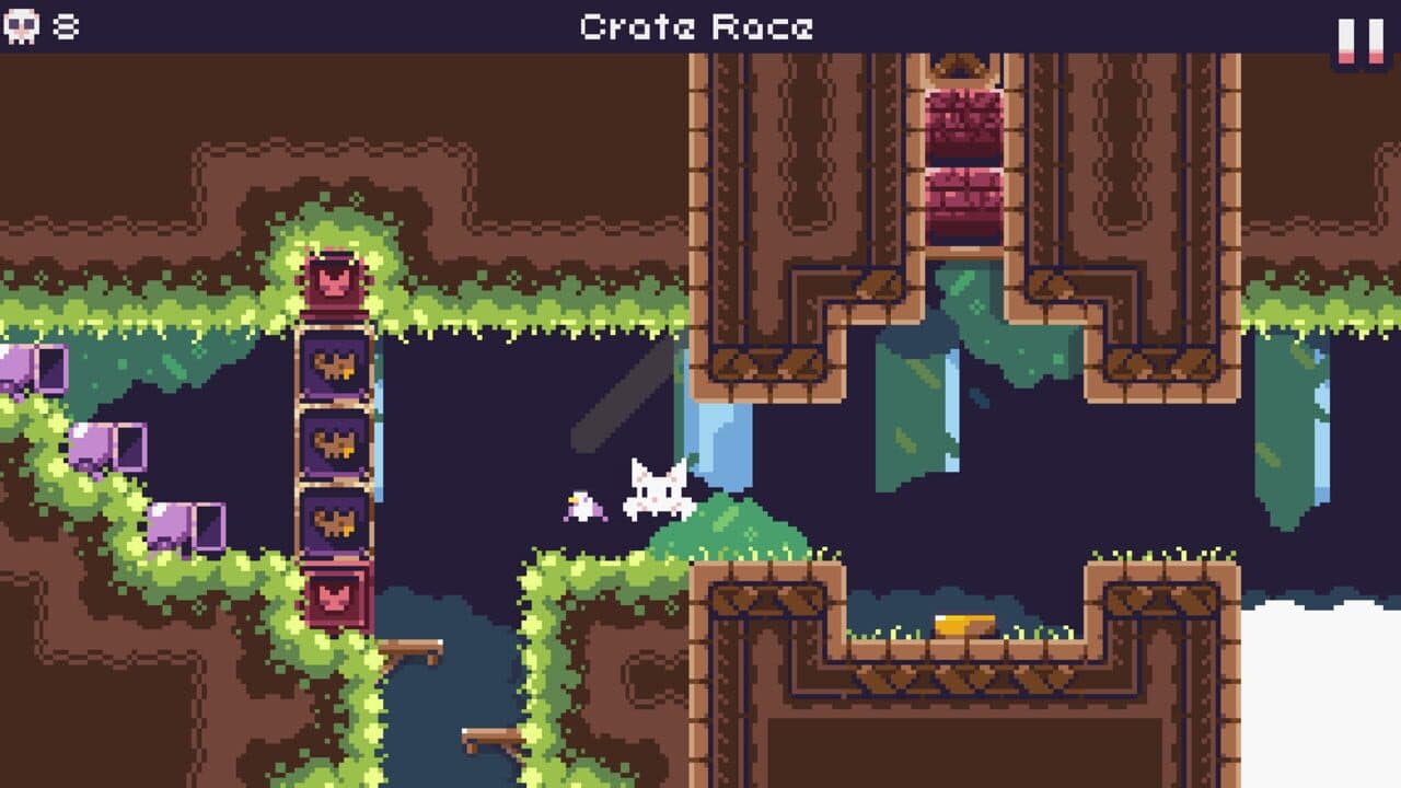 Cat Bird thumbnail 3