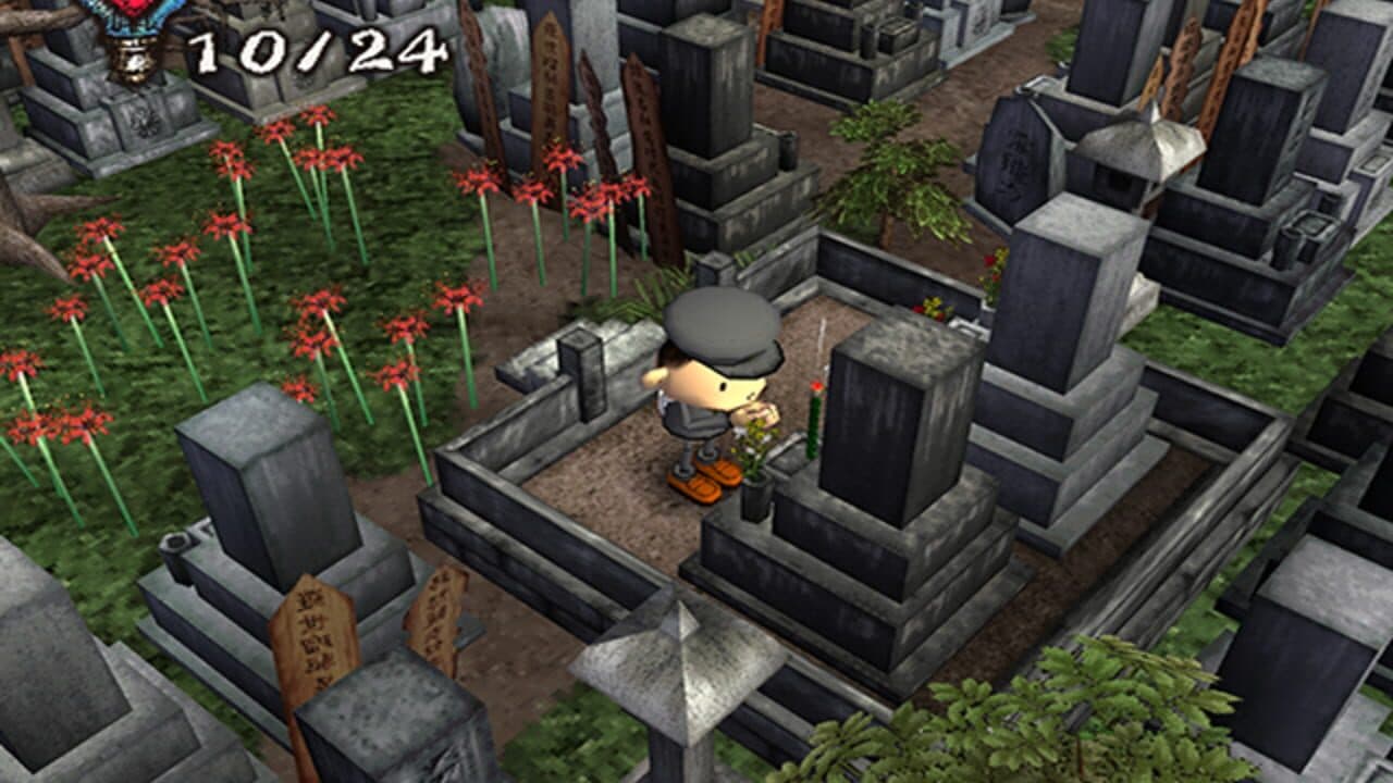 Chulip thumbnail 6