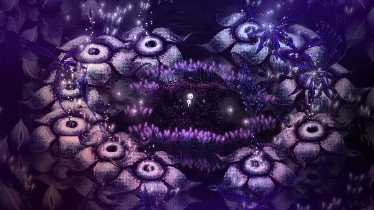 Dap thumbnail 6