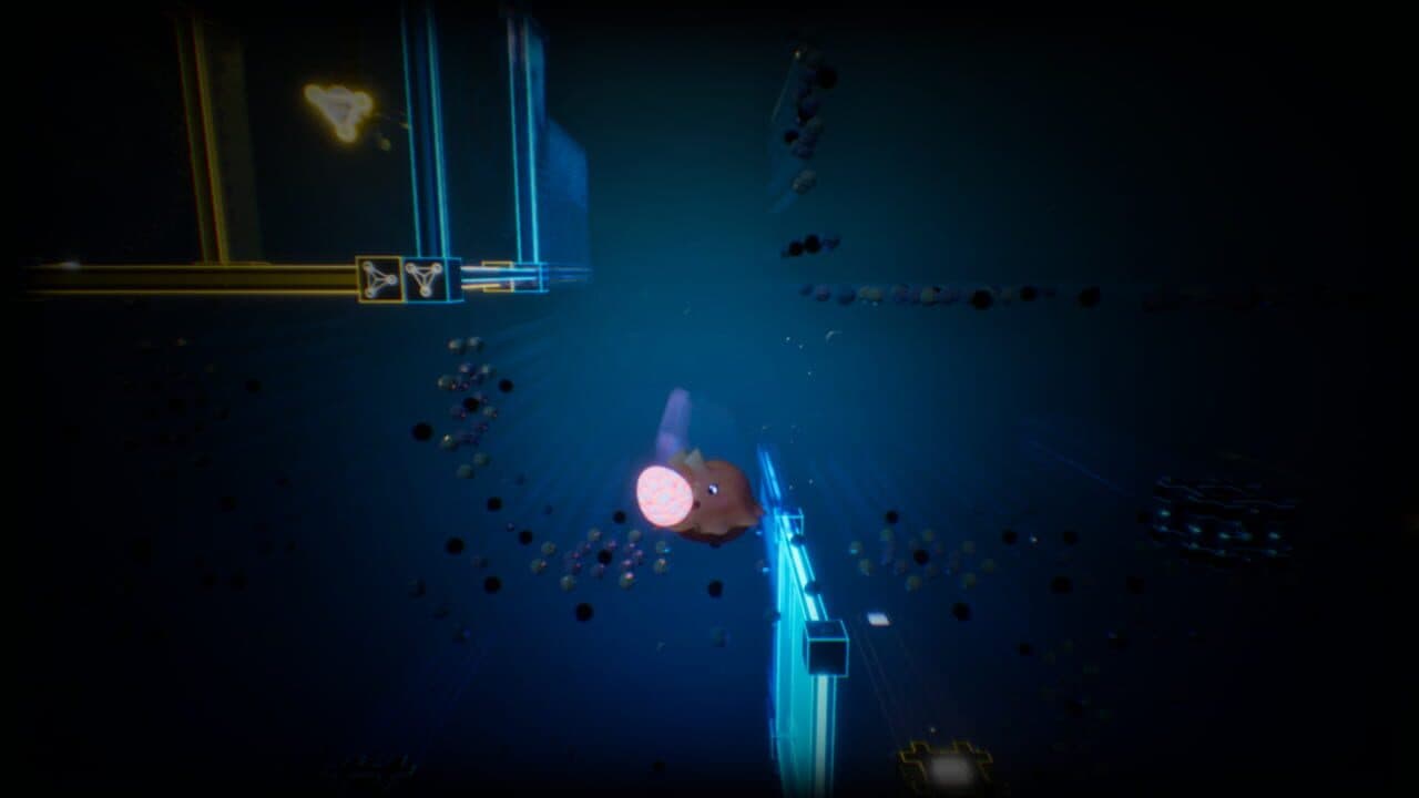 Bloat thumbnail 5