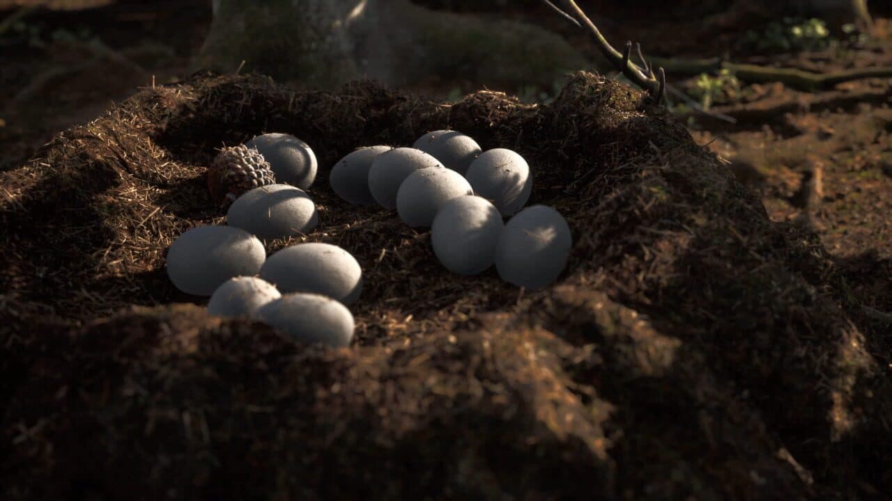 Instinction thumbnail 2