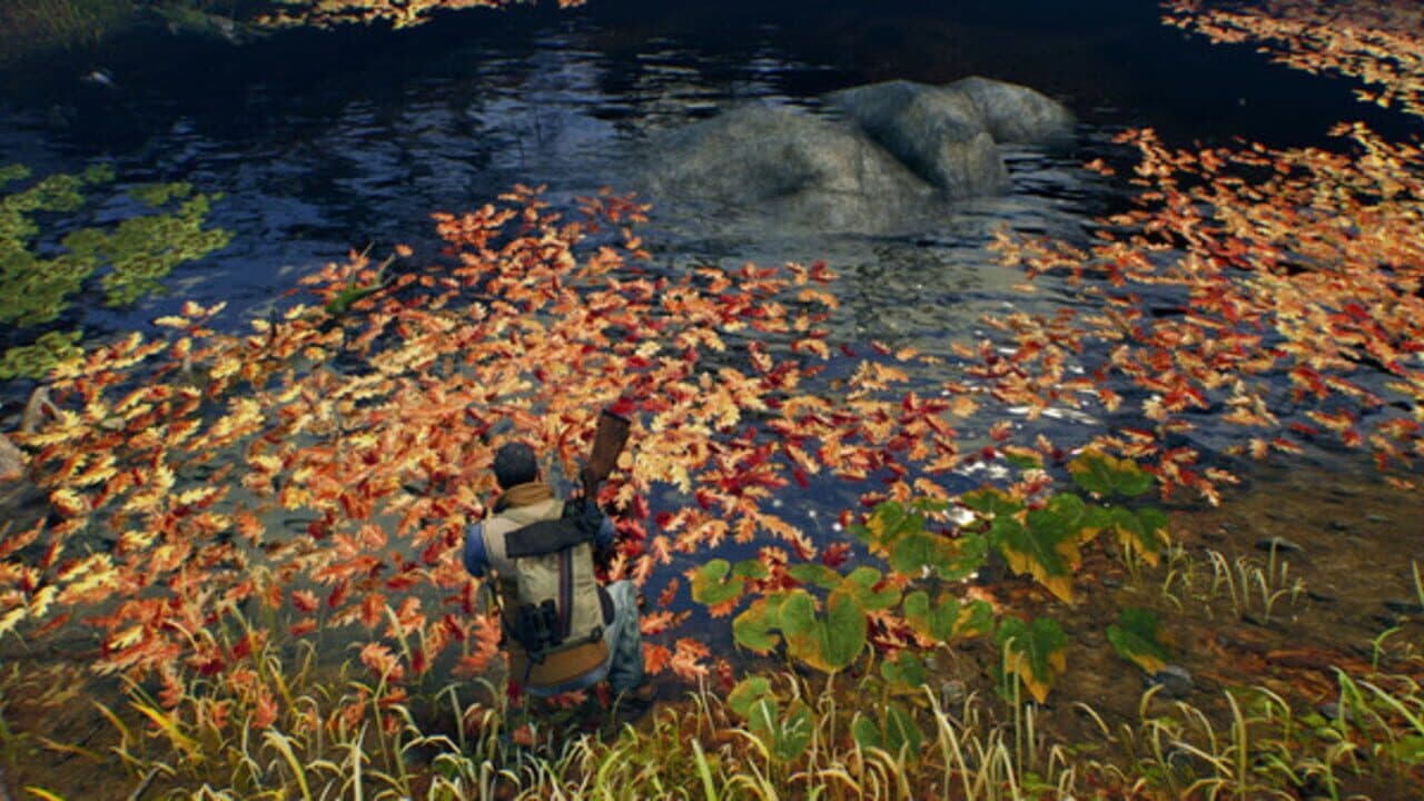 Open Country thumbnail 3