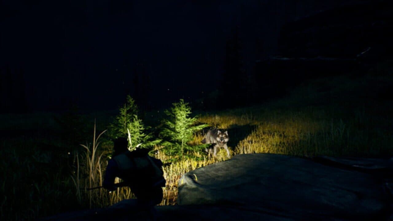 Open Country thumbnail 7