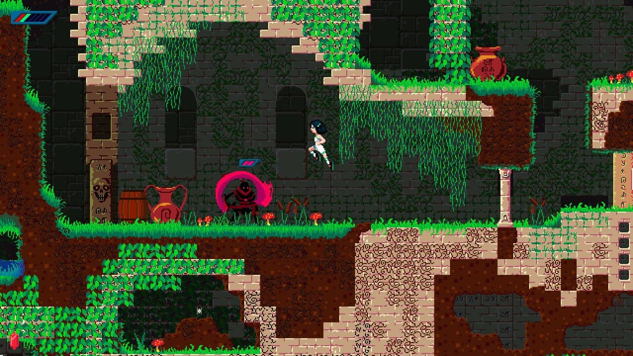 Frauki's Adventure! screenshot 1