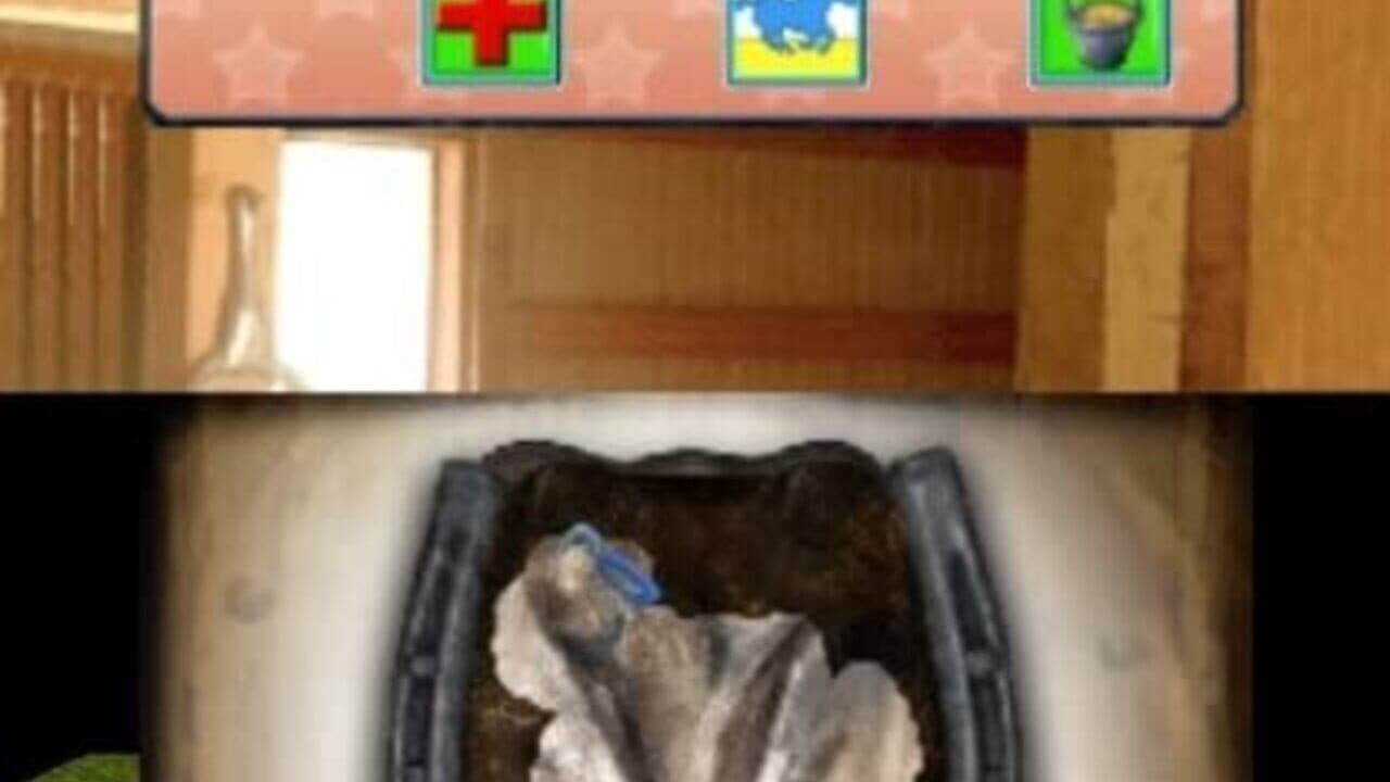 2 Games in 1 I My Western Horse 3D + My Riding Stables 3D: Jumping for the Team thumbnail 6