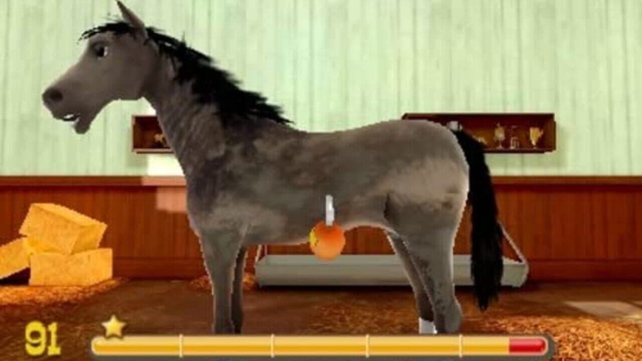 2 Games in 1 I My Western Horse 3D + My Riding Stables 3D: Jumping for the Team thumbnail 8