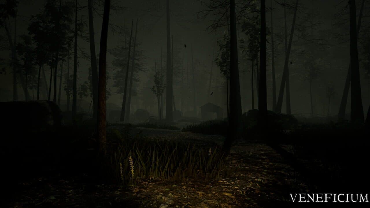 Veneficium thumbnail 4