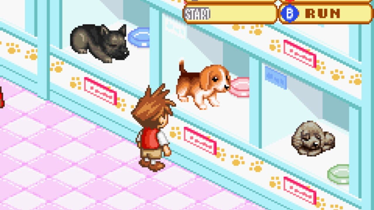 Dogz 2 screenshot 1