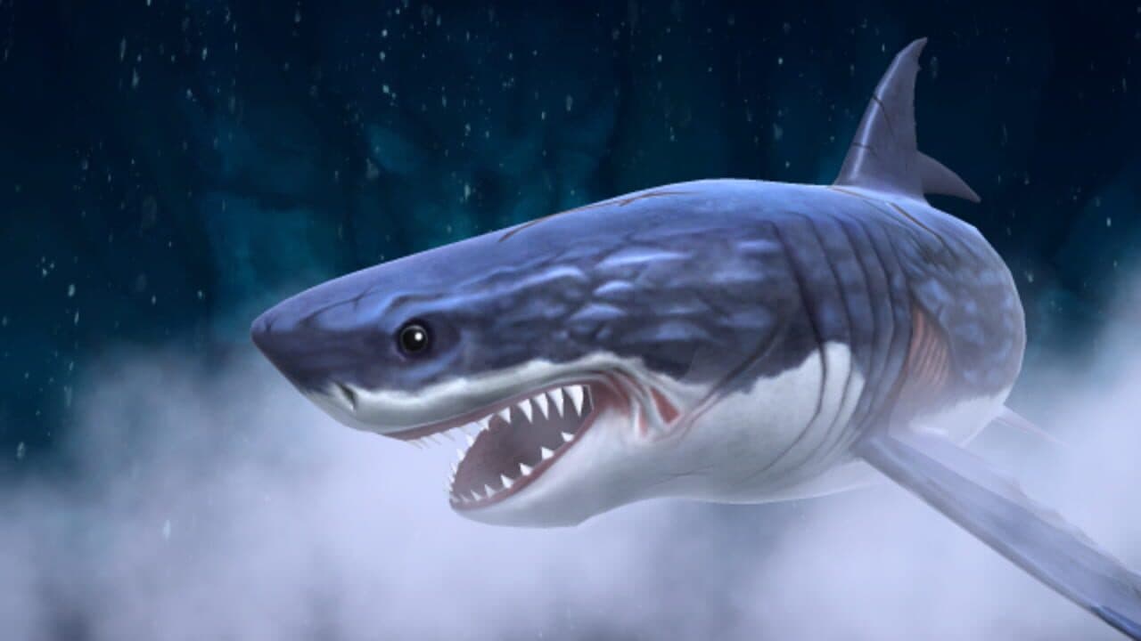 Ace Angler thumbnail 3
