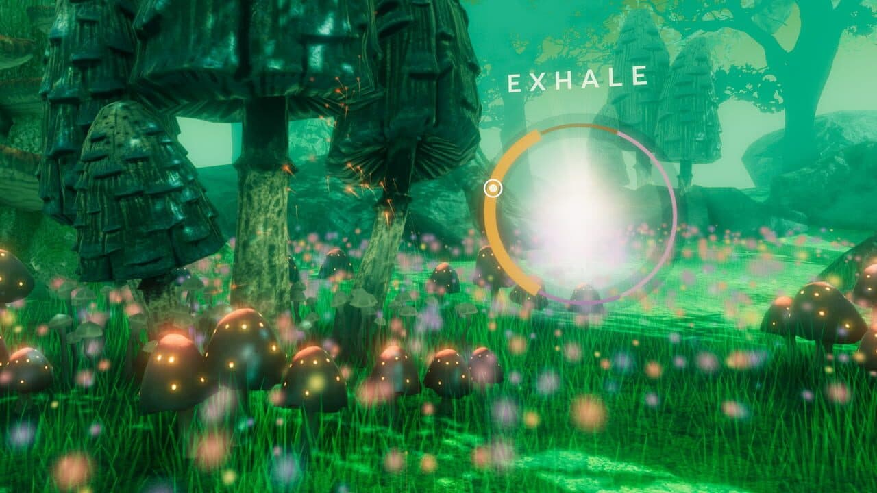Tripp thumbnail 4