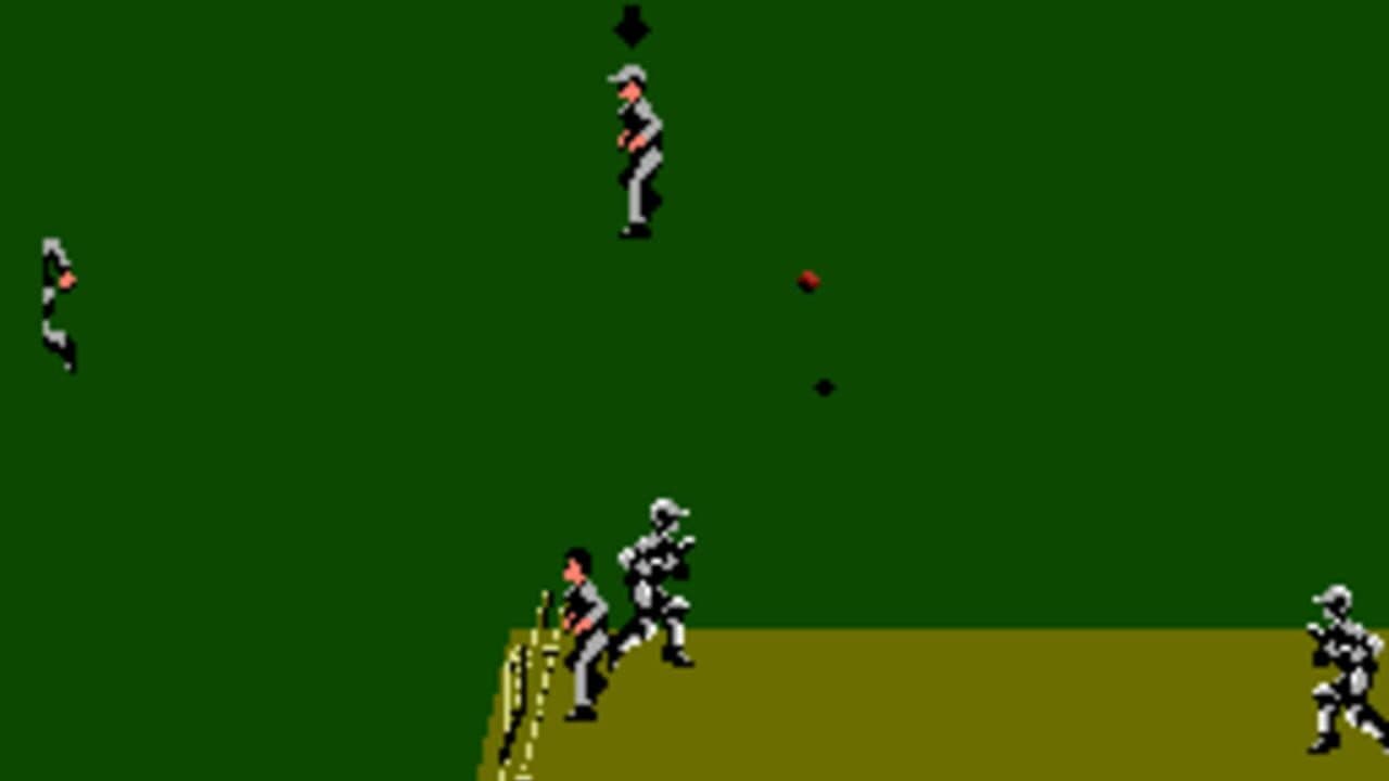 International Cricket thumbnail 3