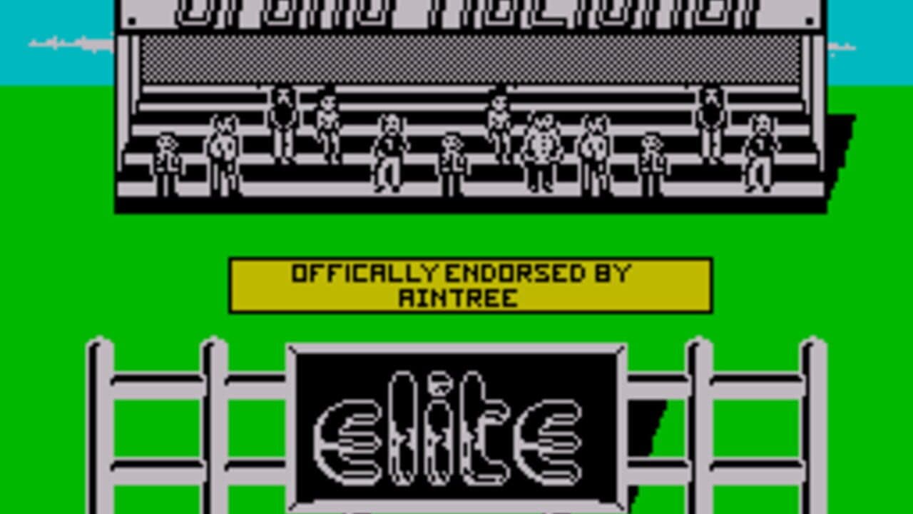 Grand National screenshot 1