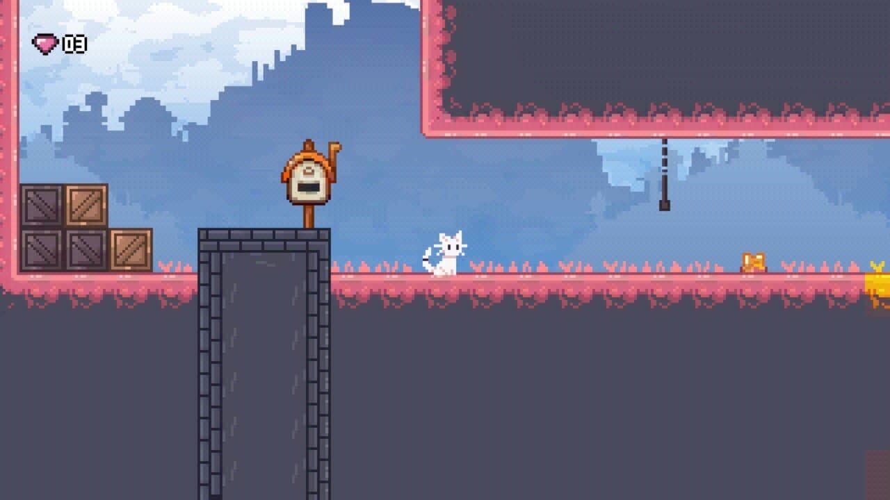 .Cat thumbnail 5
