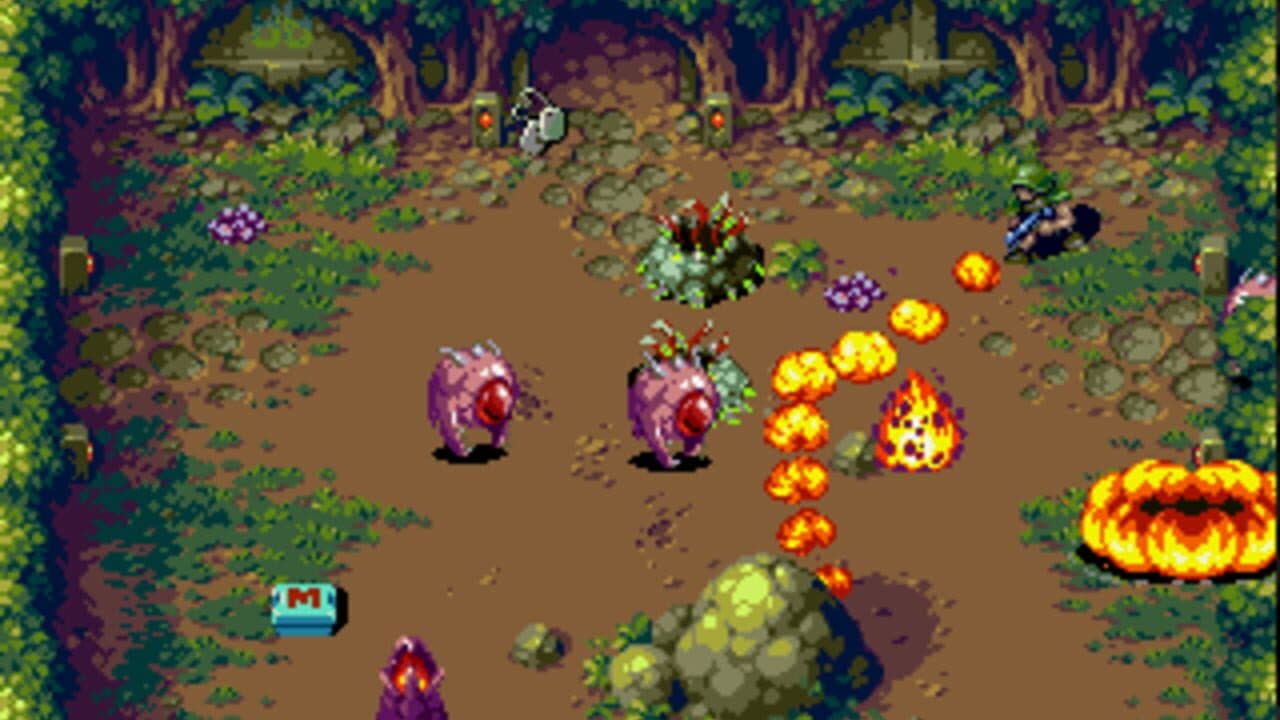 Xeno Crisis & Tanglewood thumbnail 4