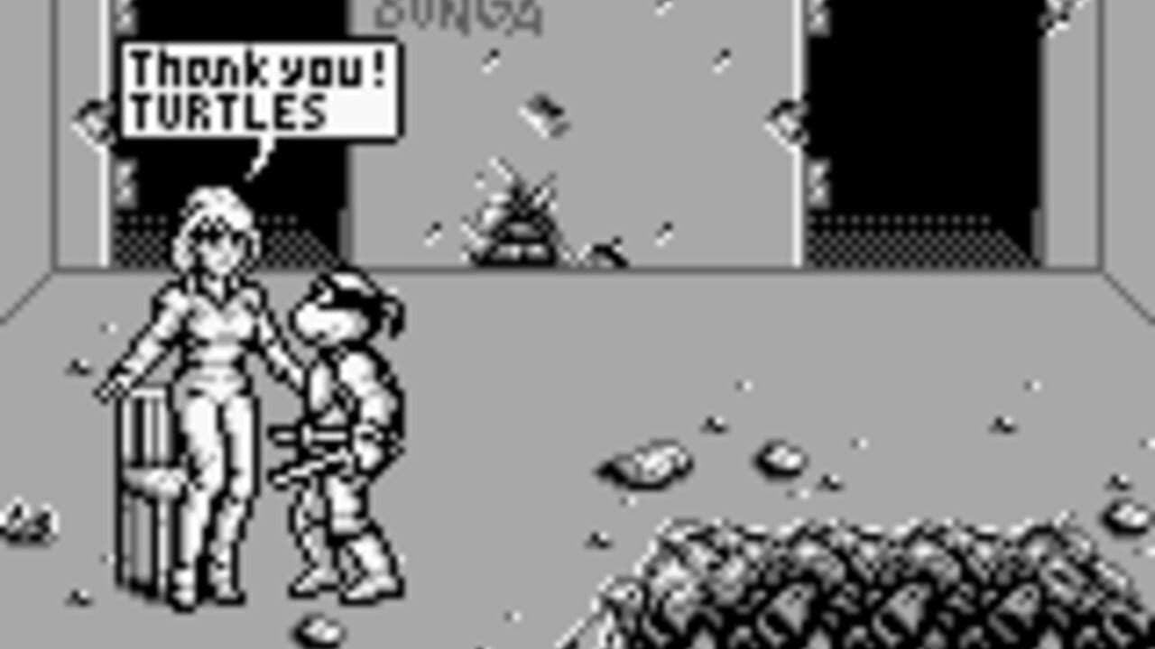 Teenage Mutant Ninja Turtles II: Back from the Sewers thumbnail 8