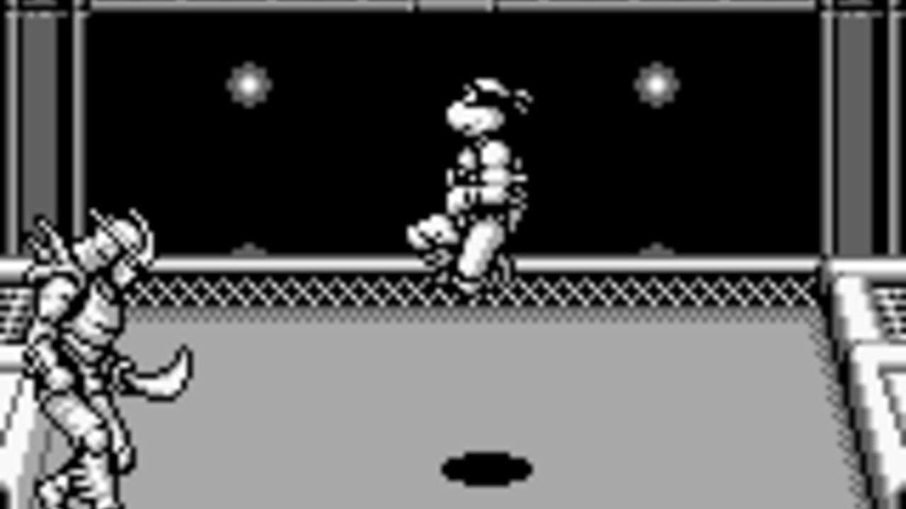Teenage Mutant Ninja Turtles II: Back from the Sewers thumbnail 9