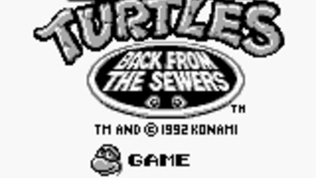Teenage Mutant Ninja Turtles II: Back from the Sewers thumbnail 11