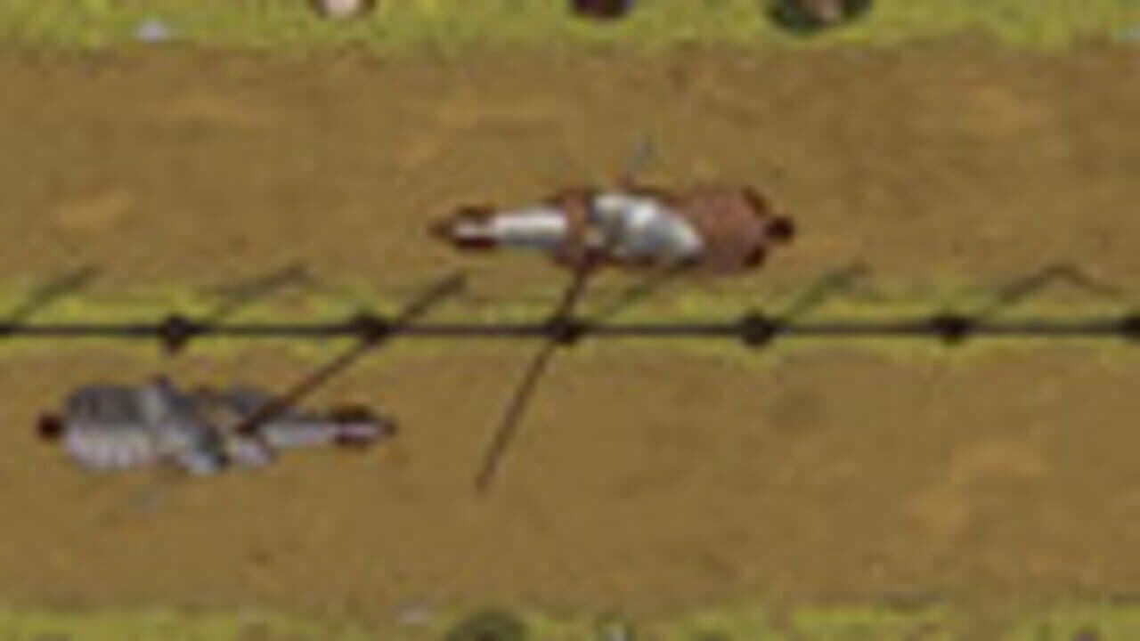 Gallantry thumbnail 5