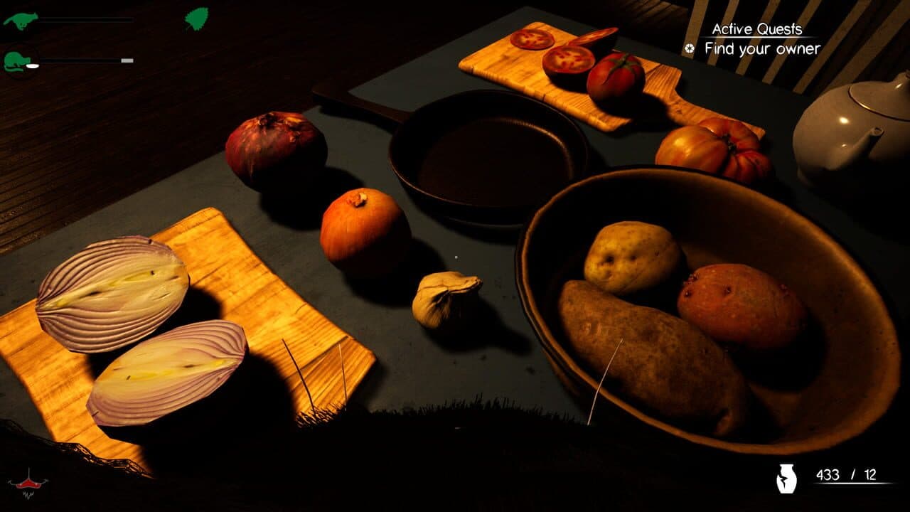 Catsperience thumbnail 9