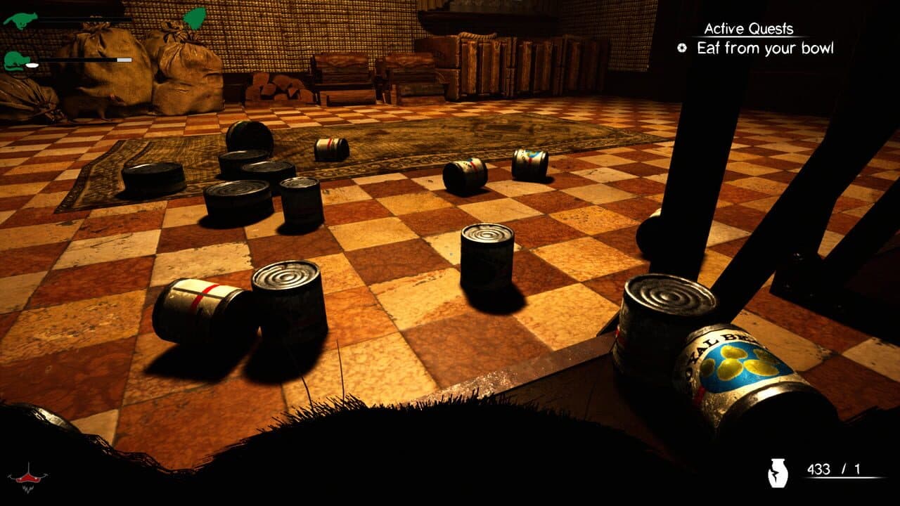Catsperience thumbnail 11