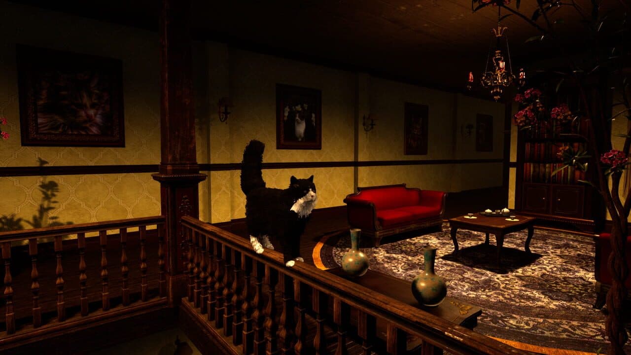 Catsperience thumbnail 12