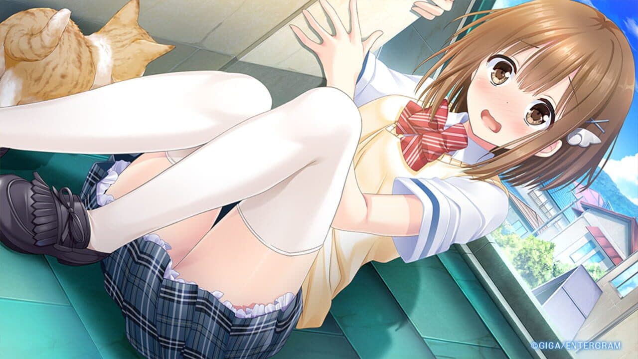 Love Clear thumbnail 4