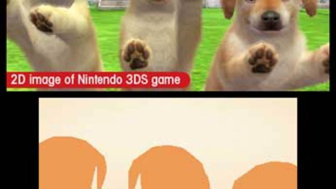 Nintendogs + Cats: Toy Poodle & New Friends screenshot 1