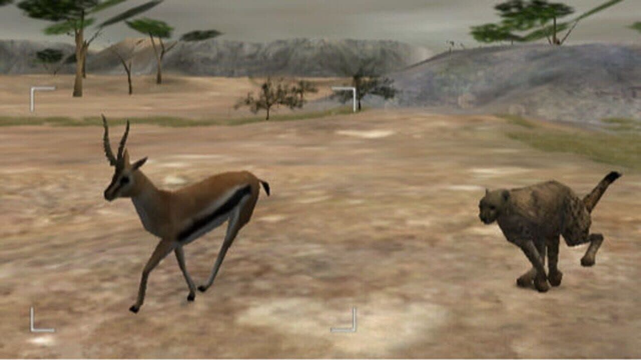 Wild Earth: African Safari thumbnail 2